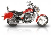2007 Tank Sports 250E photo